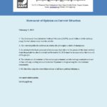 Statement of Opinion on Current Situation
