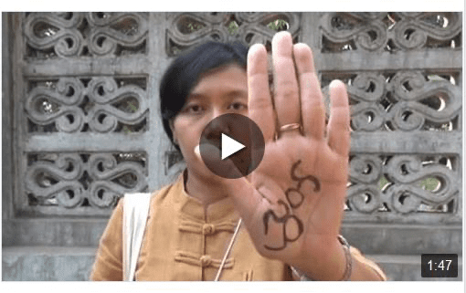 INTERVIEW (01/2015): 2015 Palm Campaign – Interviews with Influential Individuals